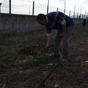 Baharın gelişi ile kurum ve kuruluşlarımızda ağaçlandırma çalışmaları başladı  - fotoğraf 4