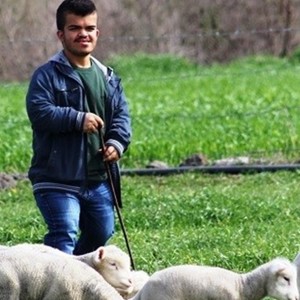 Bakan Selçuk: “Kendi İşini Kurmak İsteyen Engellilerimiz İçin Hibe Desteği Başvuruları Başladı” - fotoğraf 1