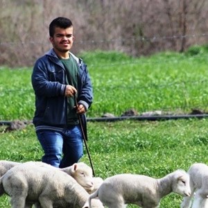 Bakan Selçuk: “Kendi İşini Kurmak İsteyen Engellilerimiz İçin Hibe Desteği Başvuruları Başladı” - fotoğraf 1