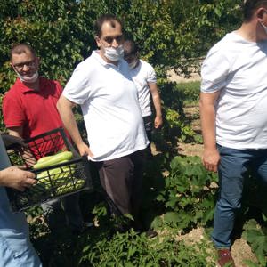 Kırklareli Bakım Rehabilitasyon ve Aile Danışma Merkezi Müdürlüğünün örnek projelerinden biri olan Engelsiz Hobi Bahçesi’nde yaz sezonu hasadı başladı.  - fotoğraf 1