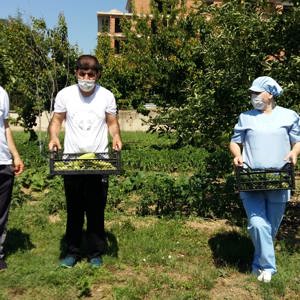 Kırklareli Bakım Rehabilitasyon ve Aile Danışma Merkezi Müdürlüğünün örnek projelerinden biri olan Engelsiz Hobi Bahçesi’nde yaz sezonu hasadı başladı.  - fotoğraf 6