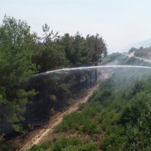 Psikososyal Destek Ekiplerimiz Kozan’da Yangın Bölgesinde - fotoğraf 11