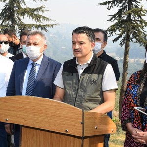 Psikososyal Destek Ekiplerimiz Kozan’da Yangın Bölgesinde - fotoğraf 21