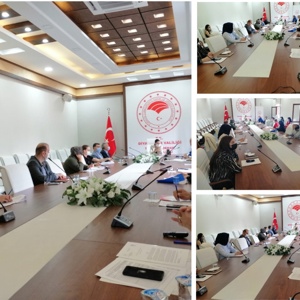 2020 yılı 1. Dönem Kadına Yönelik Şiddetle Mücadele Koordinasyon , izleme ve Değerlendirme toplantımızı gerçekleştirdik - fotoğraf 1