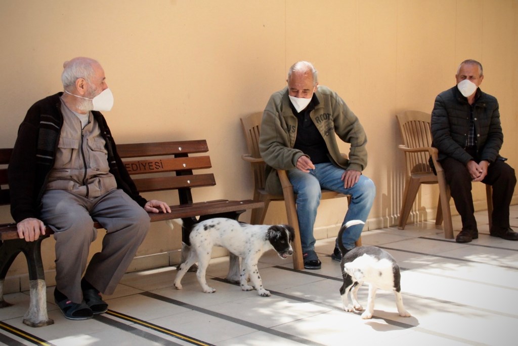 Minister SELÇUK: "We have invested elderly and disabled pensions and home care payments in the accounts of our citizens"