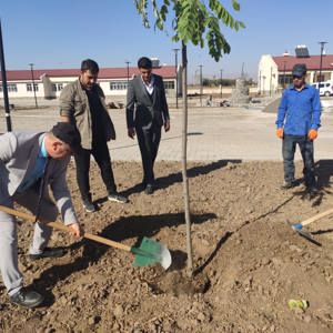 ENGELSİZ YAŞAM MERKEZİNDE FİDAN DİKİMİ VE PEYZAJ ÇALIŞMASI YAPILDI - fotoğraf 1