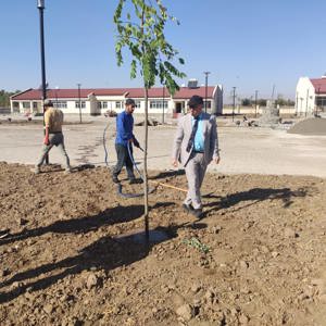ENGELSİZ YAŞAM MERKEZİNDE FİDAN DİKİMİ VE PEYZAJ ÇALIŞMASI YAPILDI - fotoğraf 2