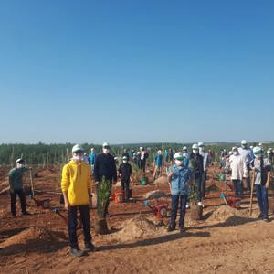 Genç Fidanlarımız, Fidan Dikti - fotoğraf 2
