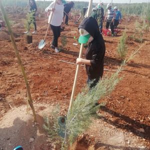 Genç Fidanlarımız, Fidan Dikti - fotoğraf 15