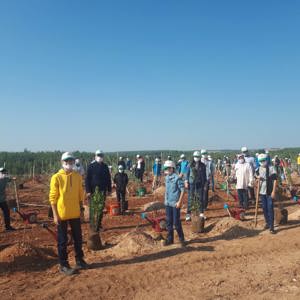 Genç Fidanlarımız, Fidan Dikti - fotoğraf 8