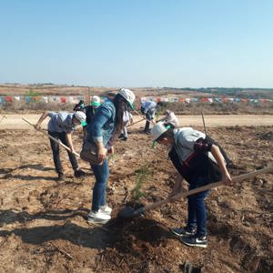 Genç Fidanlarımız, Fidan Dikti - fotoğraf 5