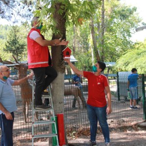 Öğrencilerimiz Sokak Hayvanları İçin kafes, Yem ve Su Kaplarını Parklara Yerleştirdi - fotoğraf 1