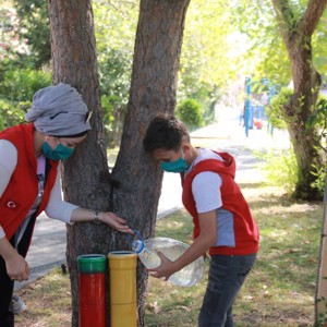 Öğrencilerimiz Sokak Hayvanları İçin kafes, Yem ve Su Kaplarını Parklara Yerleştirdi - fotoğraf 8