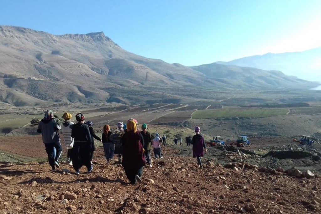 “Bir Dünya Üreten Kadın Projesi” Mardin’de Kadın İstihdamını Artırıyor