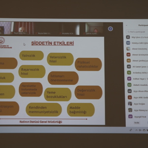 İlimiz Genelinde Görev Yapan Rehber Öğretmen ve Psikolojik Danışmanlara “Kadına Yönelik Şiddetle Mücadele” Konulu Seminer Verildi - fotoğraf 4