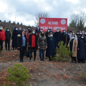 8 Mart Dünya Kadınlar Günü Kapsamında 81 İlde Mercan Ormanları Oluşturuldu - fotoğraf 4