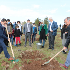 8 Mart Dünya Kadınlar Günü “Mercan Ormanları” Etkinliği - fotoğraf 1
