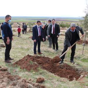 8 Mart Dünya Kadınlar Günü “Mercan Ormanları” Etkinliği - fotoğraf 4