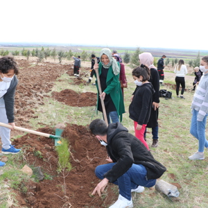 8 Mart Dünya Kadınlar Günü “Mercan Ormanları” Etkinliği - fotoğraf 6