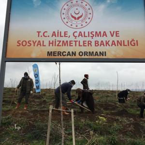 Mercan Hatıra Ormanı Fidan Dikim Etkinliği Düzenlendi. - fotoğraf 2
