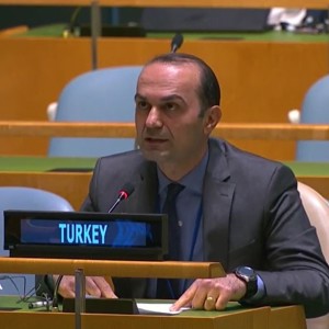 Yaşlanma Açık Uçlu Çalışma Grubunun 11. Oturumu Bu Yıl Dijital Ortamda Gerçekleşti - fotoğraf 3