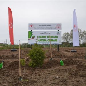 Edirne İlimizde “Mercan Hatıra Ormanı” Oluşturuldu - fotoğraf 2