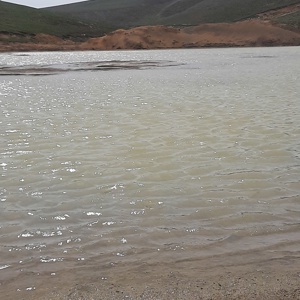 LADİK HUZUREVİ SAKİNLERİ FİDAN DİKTİ - fotoğraf 2