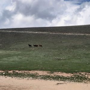 LADİK HUZUREVİ SAKİNLERİ FİDAN DİKTİ - fotoğraf 9