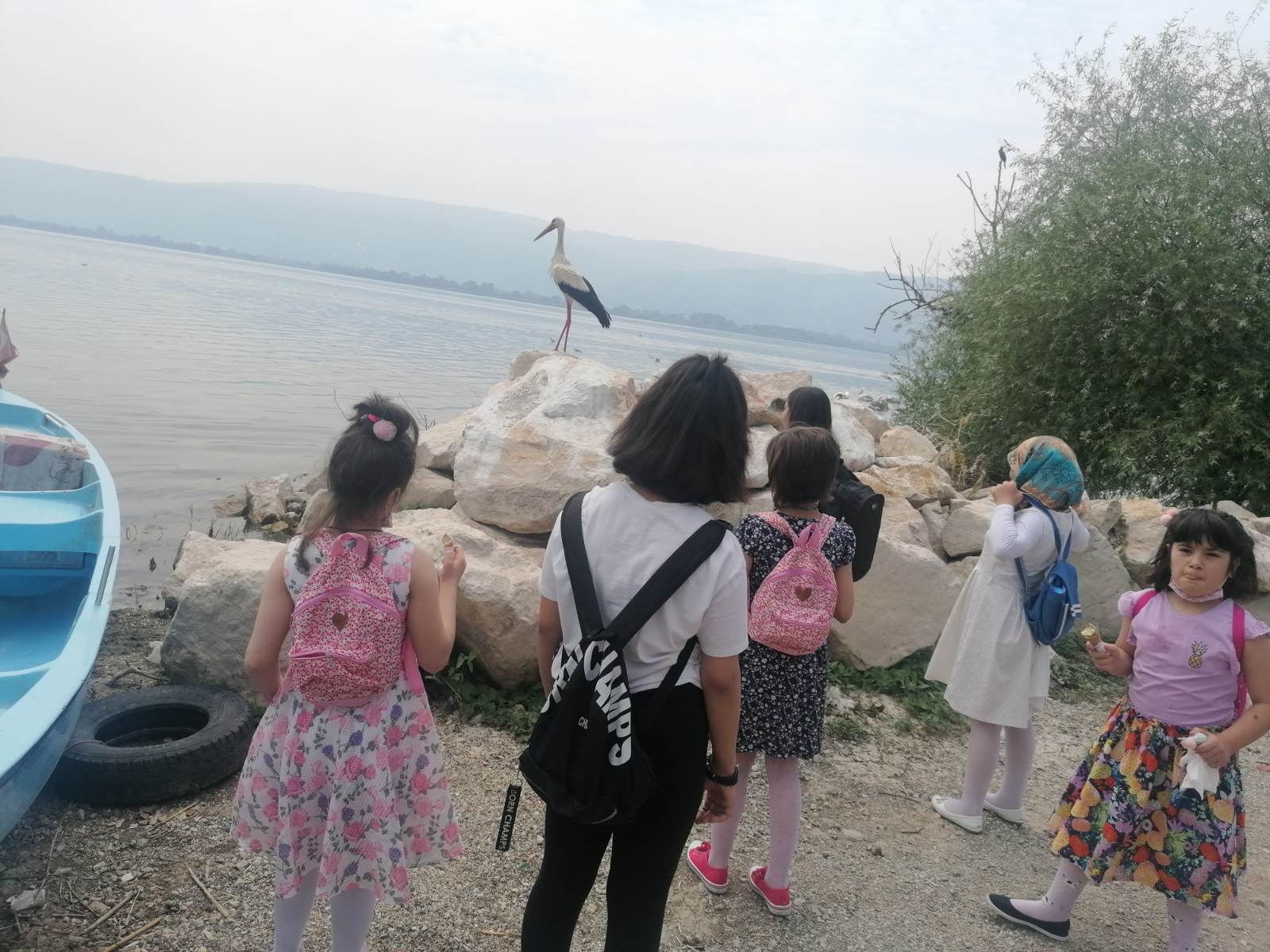 Doğada Hep Birlikte