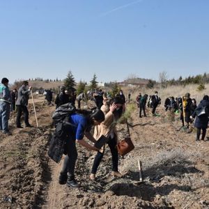 Bakanımız Yanık: “Pandemide özveriyle çalışan kadınlarımızın isimlerini Mercan Seferberliği Ormanlarında yaşatacağız” - fotoğraf 3