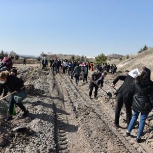 Bakanımız Yanık: “Pandemide özveriyle çalışan kadınlarımızın isimlerini Mercan Seferberliği Ormanlarında yaşatacağız” - fotoğraf 4