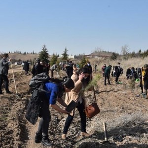 Bakanımız Sayın Yanık: “Pandemide özveriyle çalışan kadınlarımızın isimlerini Mercan Seferberliği Ormanlarında yaşatacağız” - fotoğraf 2