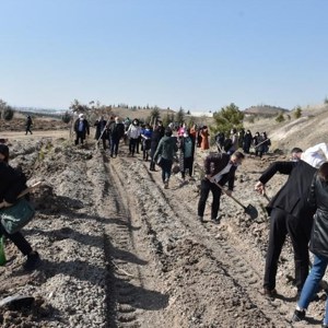 Bakanımız Sayın Yanık: “Pandemide özveriyle çalışan kadınlarımızın isimlerini Mercan Seferberliği Ormanlarında yaşatacağız” - fotoğraf 3