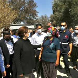 Aile ve Sosyal Hizmetler Bakanımız Derya Yanık, Osmaniye'de orman yangınında zarar gören alanlarda incelemede bulundu - fotoğraf 3