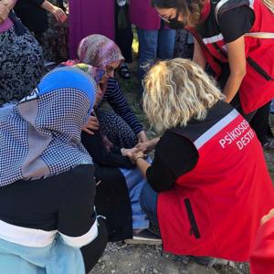 Orman Yangınları ve Sel Felaketlerine İlişkin Psikososyal Destek Çalışmaları Devam Ediyor - fotoğraf 4