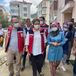 Orman Yangınları ve Sel Felaketlerine İlişkin Psikososyal Destek Çalışmaları Devam Ediyor - fotoğraf 5