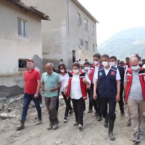 Orman Yangınları ve Sel Felaketlerine İlişkin Psikososyal Destek Çalışmaları Devam Ediyor - fotoğraf 1