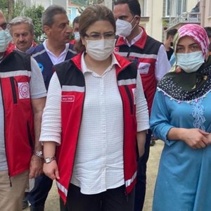 Orman Yangınları ve Sel Felaketlerine İlişkin Psikososyal Destek Çalışmaları Devam Ediyor - fotoğraf 4