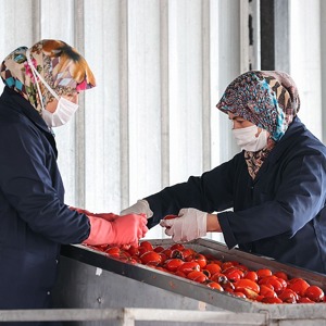 Türk Kadınlarının Ürettiği Ev Salçaları Avrupa Pazarında İlgi Görüyor - fotoğraf 1