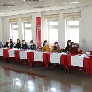 Kadına Yönelik Şiddetle Mücadele İl Eylem Planı Çalıştayı Düzenleniyor - fotoğraf 4
