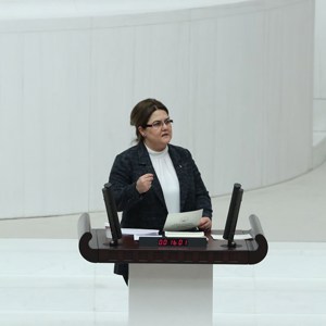 Aile ve Sosyal Hizmetler Bakanlığı’nın 2022 Yılı Bütçesi, TBMM Genel Kurulunda Kabul Edildi - fotoğraf 2