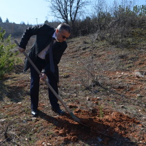 8 Mart Dünya Kadınlar Gününde Fidan Dikimi Gerçekleştirildi - fotoğraf 2