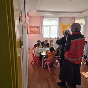 Denetim ve Yerinde İnceleme - fotoğraf 1