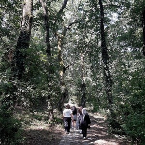  Doğa İle İçiçe Bir Kamp  - fotoğraf 4