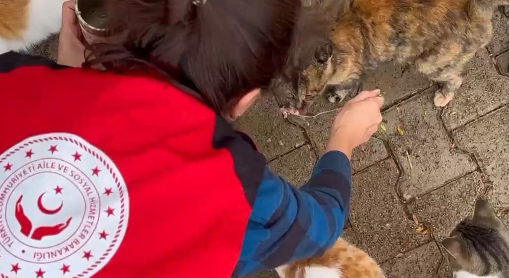 ilik Var Platformu ile Sokak Hayvanlarına Mama Desteği